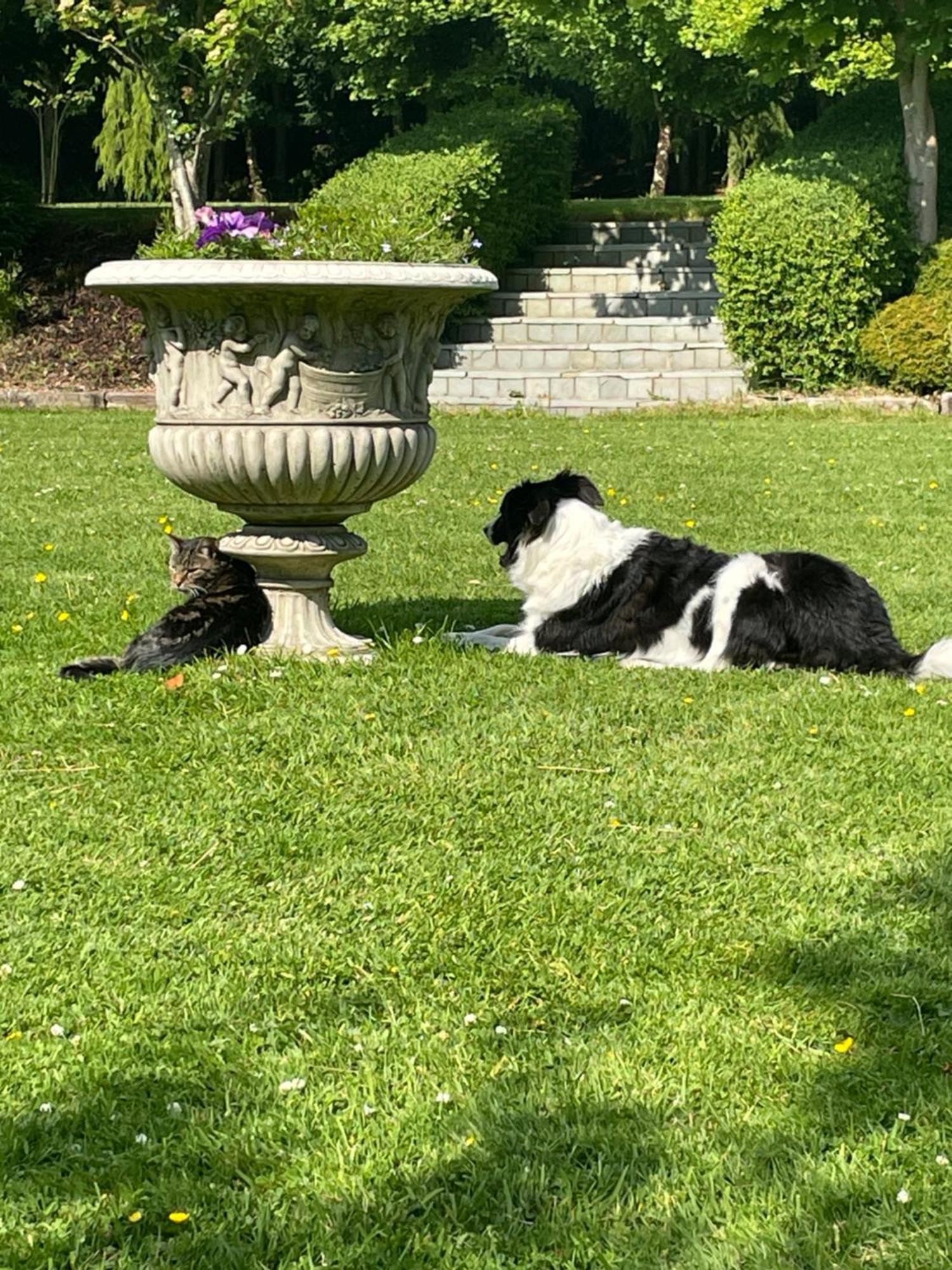 Bed and Breakfast Castledale Sligo Zewnętrze zdjęcie